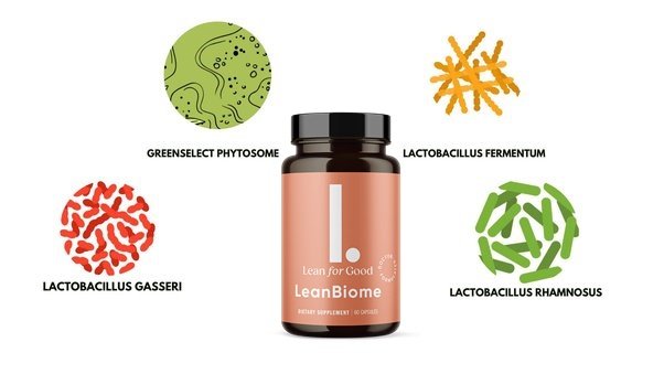 LeanBiome Ingredients