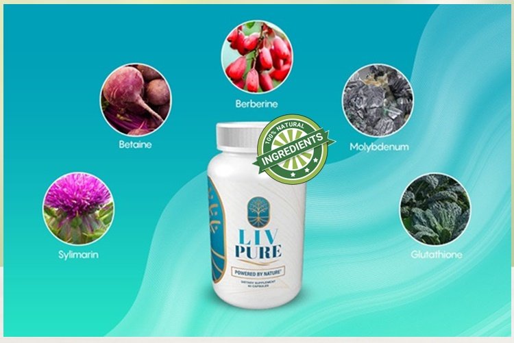 LivPure Ingredients