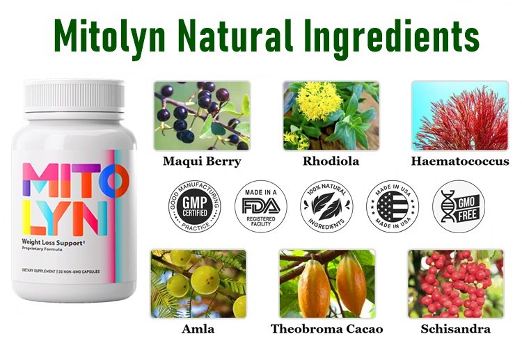 Mitolyn Ingredients