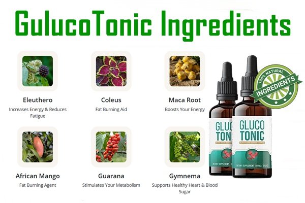 GlucoTonic Ingredients: A Deep Dive into Their Benefits and Scientific  Backing - AMMPA