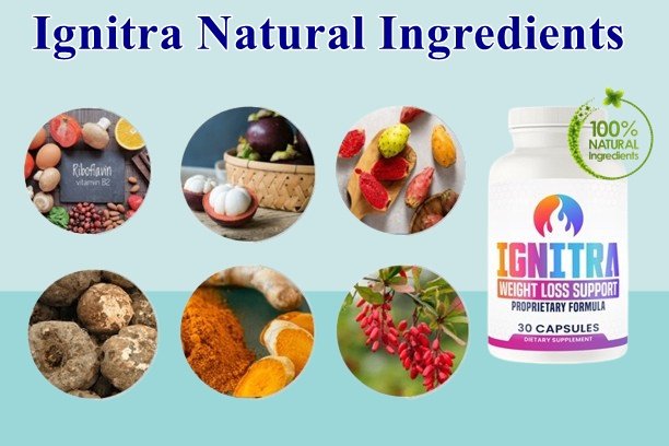 Ignitra Ingredients
