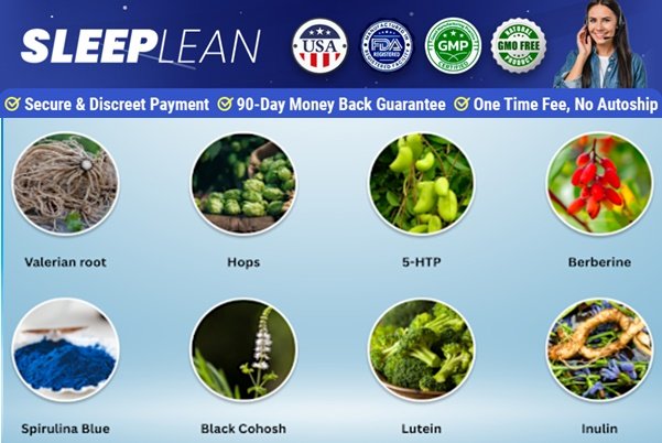 Sleep Lean Ingredients