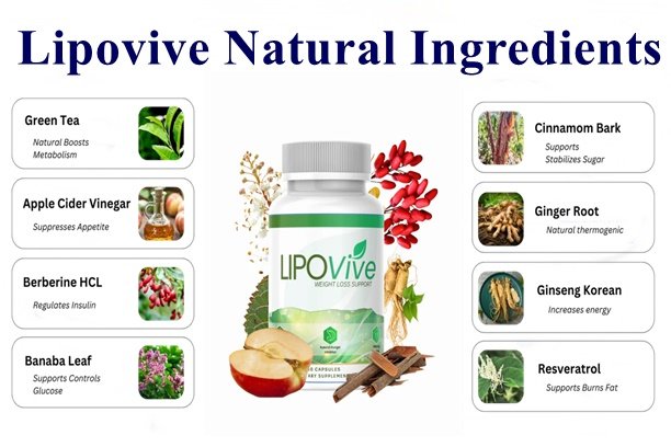 Lipovive Ingredients