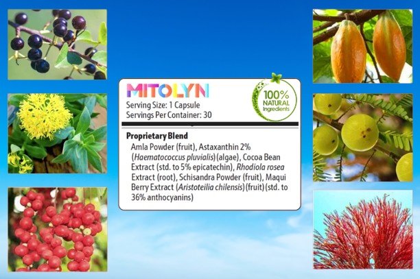 Mitolyn Ingredients