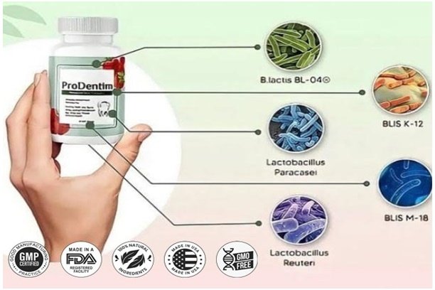 Prodentim Ingredients