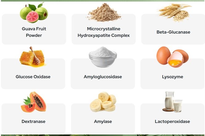 Synadentix Ingredients