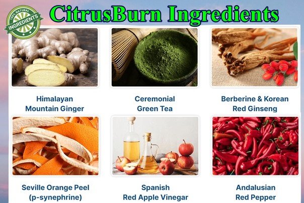 Citrusburn Ingredients