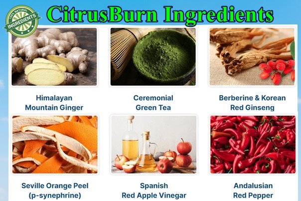 Citrusburn Ingredients